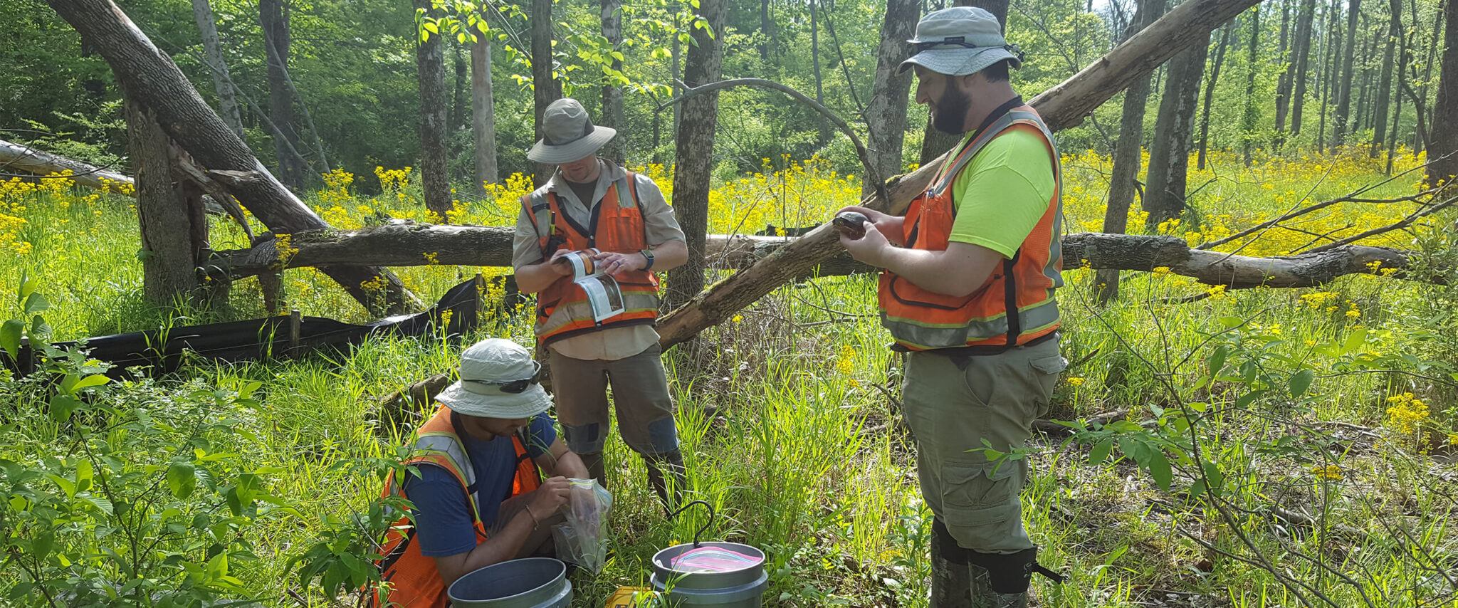 Eagle Creek Park Biological Survey - KCI.com